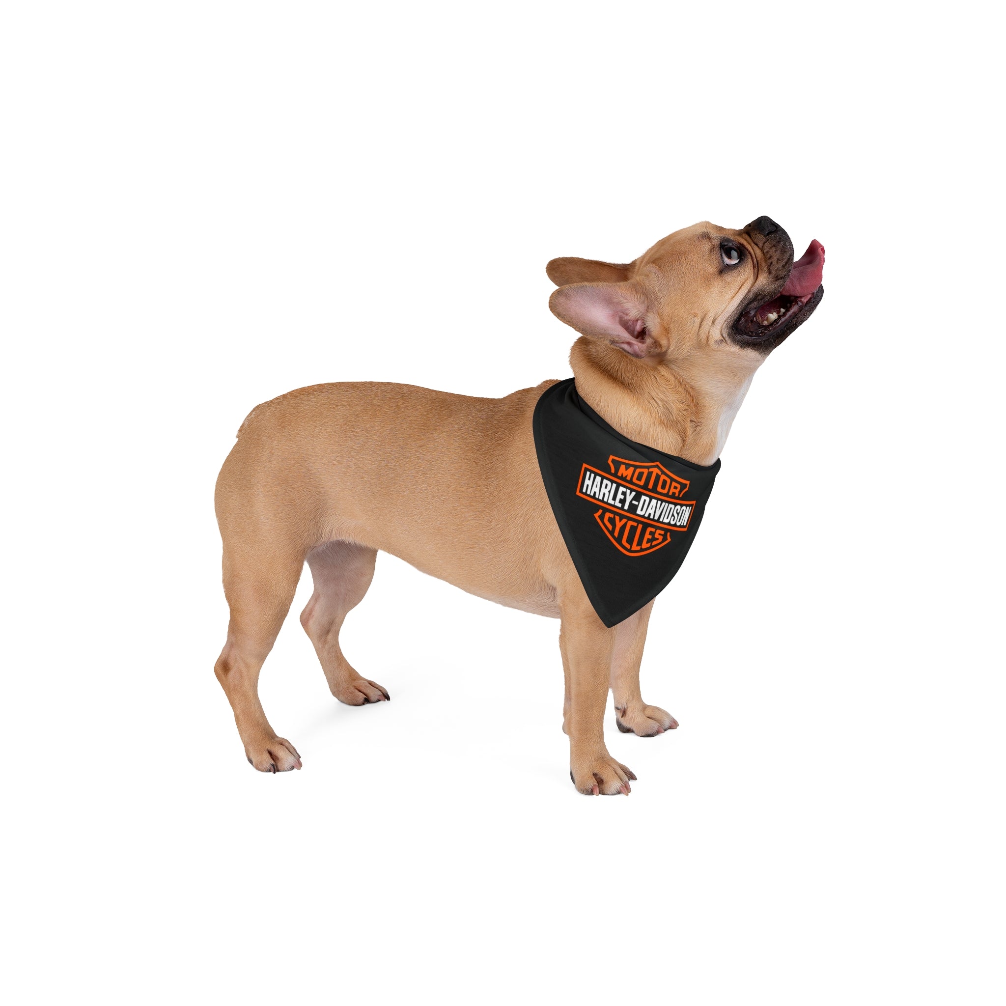 Harley Davidson Pet Bandana